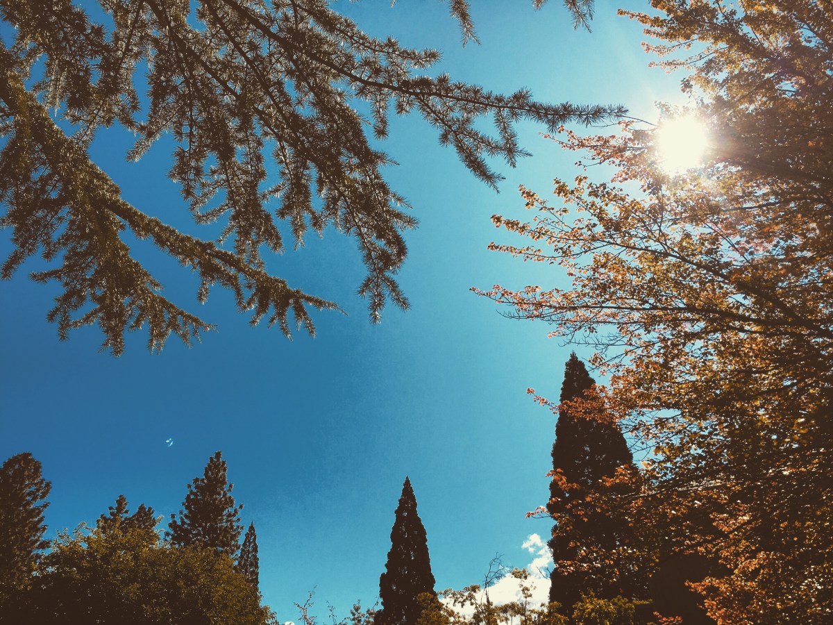 From the Siskiyou – When the Weather’s Got You Down, What do You&nbsp;do?