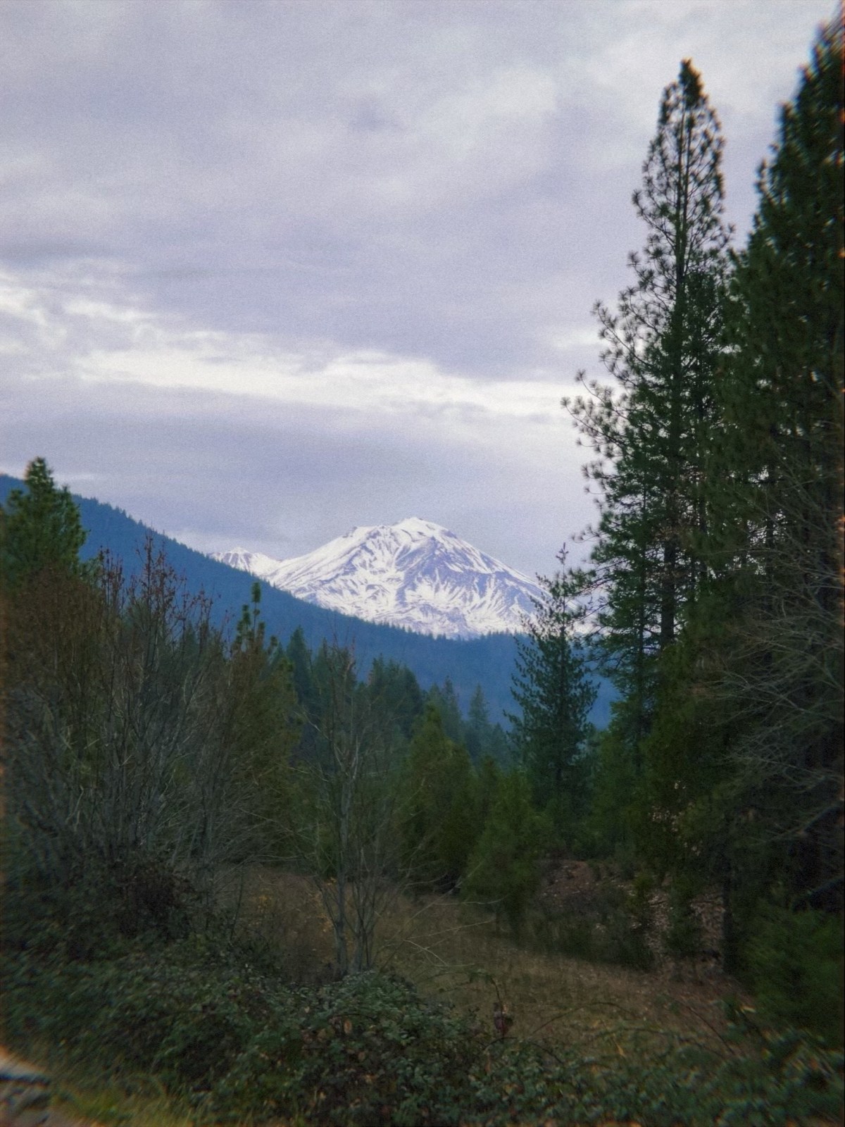 New Year, New Life&nbsp;Update