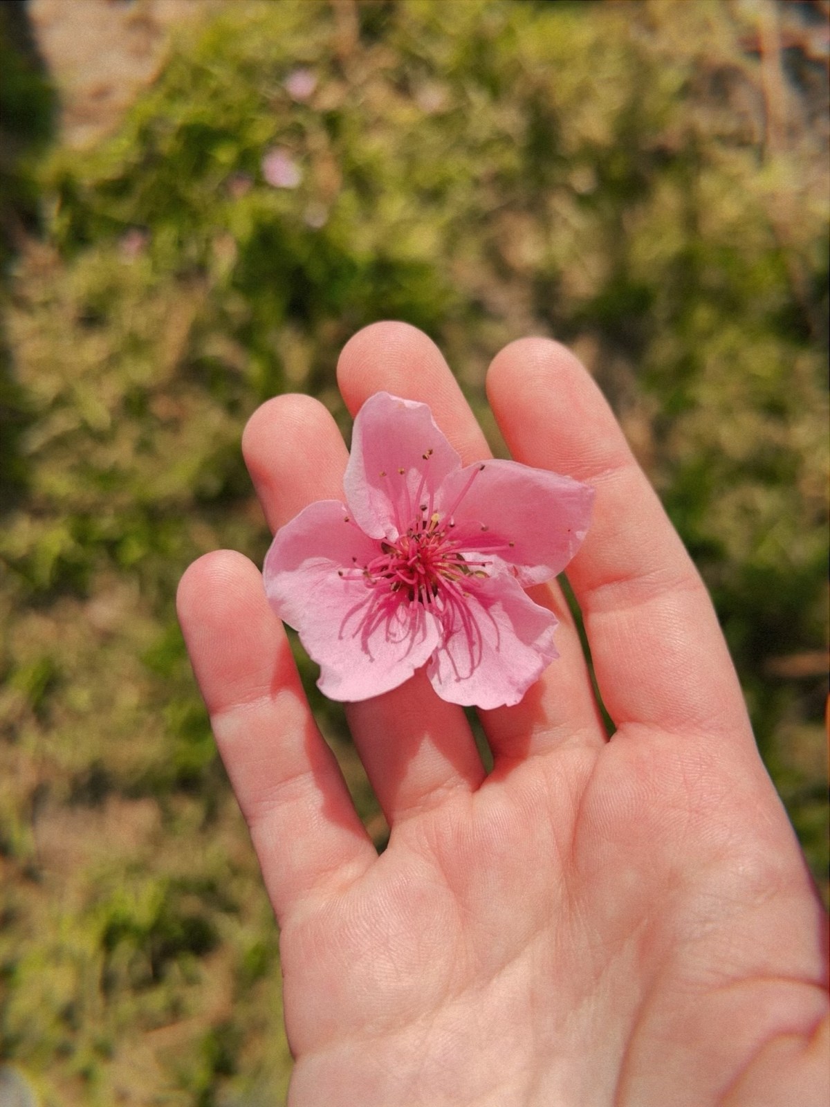 February Reading Wrap&nbsp;Up